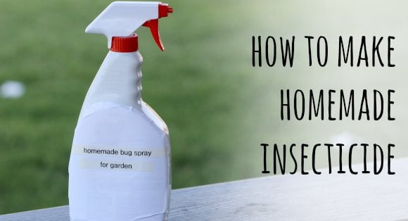 Learn how to make all Natural Pesticide for your Garden. Homemade Insecticide is easy to make and much better than store bought chemicals. Anyone can make this homemade insecticide for plants. Try this all natural insecticide. You will love this homemade insecticide for garden vegetables. Learn how to make all Natural Pesticide for your Garden. Homemade Insecticide is easy to make and much better than store bought chemicals. Anyone can make this homemade insecticide for plants. Try this all natural insecticide. You will love this homemade insecticide for garden vegetables.