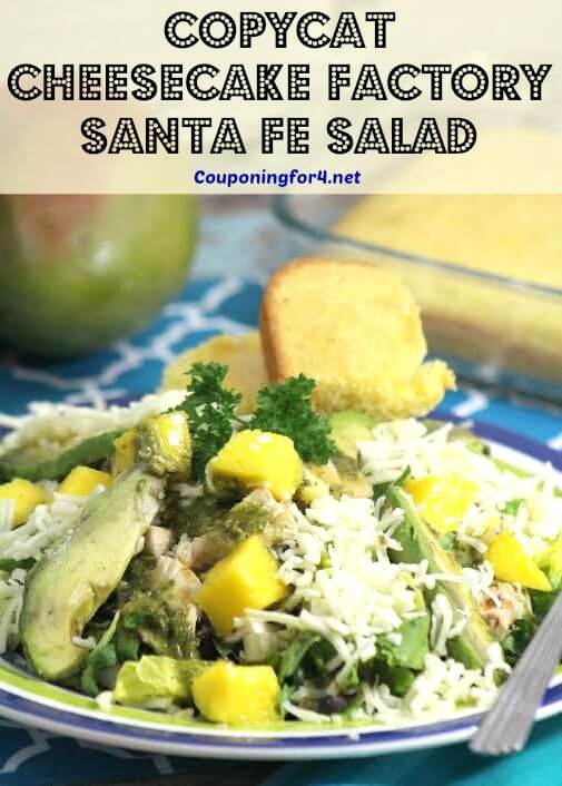 Here are over 50 quick and easy copycat recipes you will love. Try one of the best Copycat Restaurant recipes to make at home. Plus, save money! These are so delicious! Santa Fe Salad in bowl.