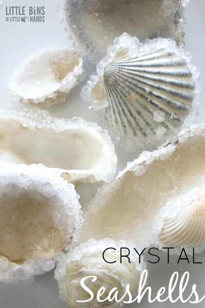 Summer is here and we have 25 adorable seashell crafts for kids. This is such a fun activity to keep the kids busy. Plus, seashells are inexpensive or free. Seashells with crystals.