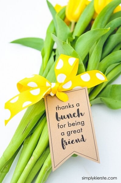 We have 27 easy back to school teacher gifts. Find the perfect back to school teacher gift ideas to start the year off right! These ideas are so simple! We have 27 easy back to school teacher gifts. Find the perfect back to school teacher gift ideas to start the year off right! These ideas are so simple!