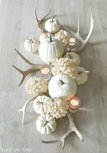 Find the best DIY Fall Centerpiece Ideas for your home. Easy Fall centerpiece ideas to make your home festive and ready for Fall without breaking the bank. Find the best DIY Fall Centerpiece Ideas for your home. Easy Fall centerpiece ideas to make your home festive and ready for Fall without breaking the bank.