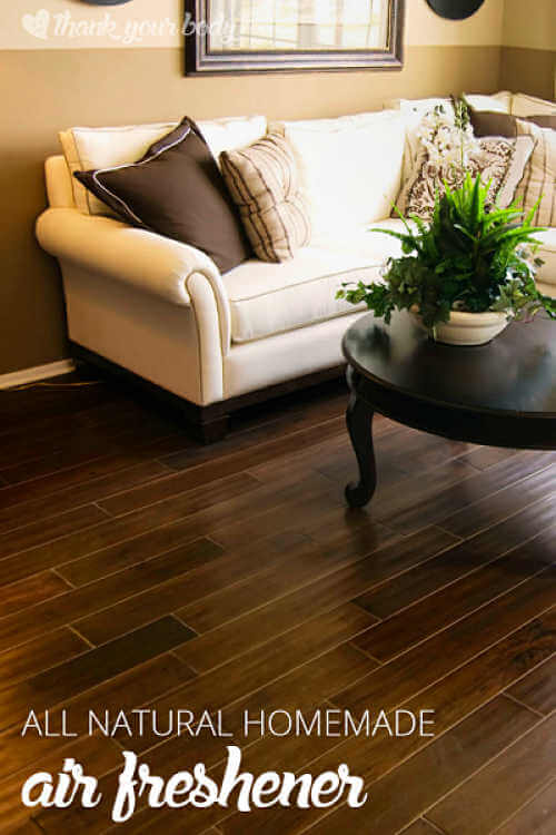 If you're looking for easy ways to make your home and car smell amazing, try one of these DIY Air Fresheners.These ideas are natural and smell wonderful. Living room couch and table.