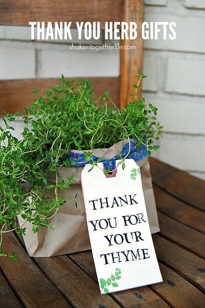 We have 27 easy back to school teacher gifts. Find the perfect back to school teacher gift ideas to start the year off right! These ideas are so simple! We have 27 easy back to school teacher gifts. Find the perfect back to school teacher gift ideas to start the year off right! These ideas are so simple!