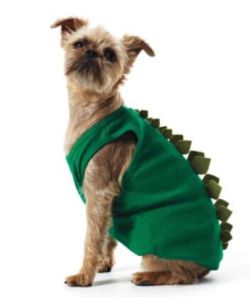 Check out these homemade dog costumes that are so cute! 15 DIY dog costumes that are quick and easy. Your dog will be the hit of the Halloween party! Check out these homemade dog costumes that are so cute! 15 DIY dog costumes that are quick and easy. Your dog will be the hit of the Halloween party!