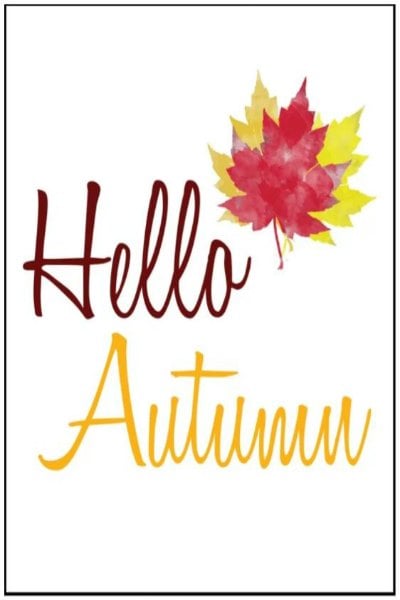 Get inspired with these Thanksgiving home decorations.20 DIY Thanksgiving Decorations you will love.Thanksgiving home decorations that won't bust the budget Free fall printable that says Hello Autumn.