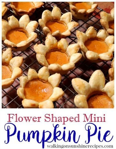 Do you love to try pumpkin recipes? Here are 100 quick and easy pumpkin recipes. From pumpkin bread to pumpkin pancakes, these recipes will not disappoint. Do you love to try pumpkin recipes? Here are 100 quick and easy pumpkin recipes. From pumpkin bread to pumpkin pancakes, these recipes will not disappoint.