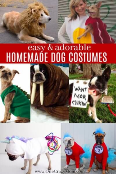 Check out these homemade dog costumes that are so cute! 15 DIY dog costumes that are quick and easy. Your dog will be the hit of the Halloween party! Check out these homemade dog costumes that are so cute! 15 DIY dog costumes that are quick and easy. Your dog will be the hit of the Halloween party!