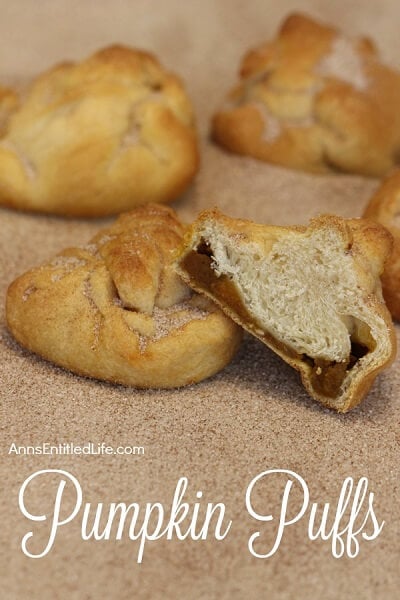 Do you love to try pumpkin recipes? Here are 100 quick and easy pumpkin recipes. From pumpkin bread to pumpkin pancakes, these recipes will not disappoint. Do you love to try pumpkin recipes? Here are 100 quick and easy pumpkin recipes. From pumpkin bread to pumpkin pancakes, these recipes will not disappoint.
