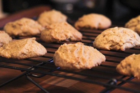 Do you love to try pumpkin recipes? Here are 100 quick and easy pumpkin recipes. From pumpkin bread to pumpkin pancakes, these recipes will not disappoint. Do you love to try pumpkin recipes? Here are 100 quick and easy pumpkin recipes. From pumpkin bread to pumpkin pancakes, these recipes will not disappoint.