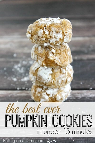 Do you love to try pumpkin recipes? Here are 100 quick and easy pumpkin recipes. From pumpkin bread to pumpkin pancakes, these recipes will not disappoint. Do you love to try pumpkin recipes? Here are 100 quick and easy pumpkin recipes. From pumpkin bread to pumpkin pancakes, these recipes will not disappoint.