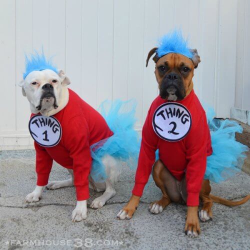 Check out these homemade dog costumes that are so cute! 15 DIY dog costumes that are quick and easy. Your dog will be the hit of the Halloween party! Check out these homemade dog costumes that are so cute! 15 DIY dog costumes that are quick and easy. Your dog will be the hit of the Halloween party!