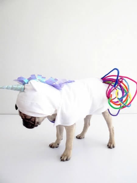 Check out these homemade dog costumes that are so cute! 15 DIY dog costumes that are quick and easy. Your dog will be the hit of the Halloween party! Check out these homemade dog costumes that are so cute! 15 DIY dog costumes that are quick and easy. Your dog will be the hit of the Halloween party!