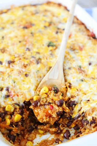 Easy Enchiladas Recipes make the perfect dinner idea any day of the week. We have 18 must try enchiladas recipes that are easy to make and taste amazing. Easy Enchiladas Recipes make the perfect dinner idea any day of the week. We have 18 must try enchiladas recipes that are easy to make and taste amazing.