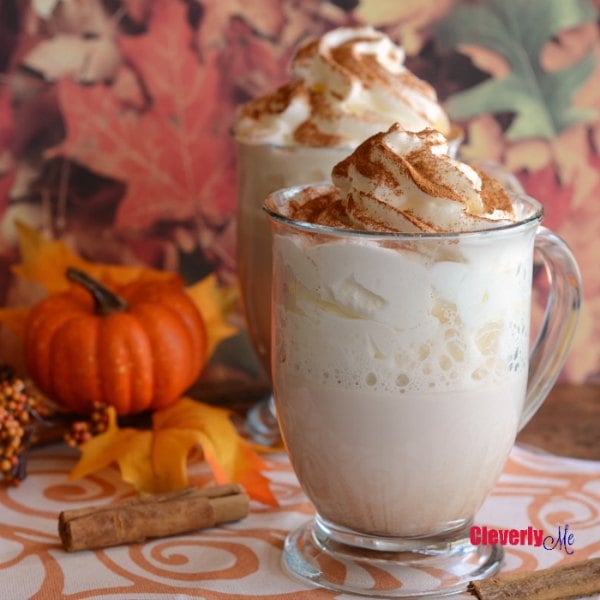 Try these easy hot chocolate recipes for an amazing treat everyone will love this Winter. 20 of the best hot cocoa recipes. You will love these homemade hot chocolate recipes that are made in the crock pot, some with cocoa powder. Learn how to make your own hot chocolate at home! #eatingonadime #hotchocolaterecipes #drinkrecipes #winterrecipes Pumpkin spice white hot chocolate in a clear mug with whipped cream.