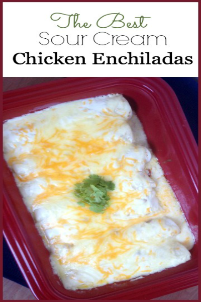 Easy Enchiladas Recipes make the perfect dinner idea any day of the week. We have 18 must try enchiladas recipes that are easy to make and taste amazing. Easy Enchiladas Recipes make the perfect dinner idea any day of the week. We have 18 must try enchiladas recipes that are easy to make and taste amazing.