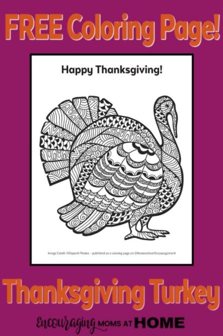Everyone will love these Thanksgiving Coloring Pages. These free Thanksgiving Coloring Pages include fun activities and more that everyone will enjoy. Thanksgiving turkey coloring sheet.
