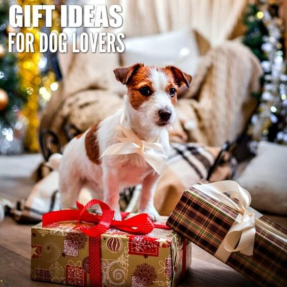 Find the best gift ideas for dog lovers here! 25 gift ideas for dog owners they will love. The best presents for dog lovers. Find the best gift ideas for dog lovers here! 25 gift ideas for dog owners they will love. The best presents for dog lovers.