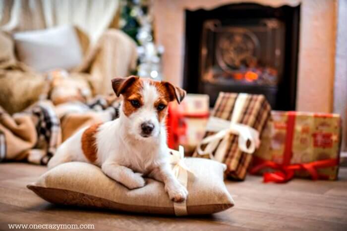 Find the best gift ideas for dog lovers here! 25 gift ideas for dog owners they will love. The best presents for dog lovers. Find the best gift ideas for dog lovers here! 25 gift ideas for dog owners they will love. The best presents for dog lovers.