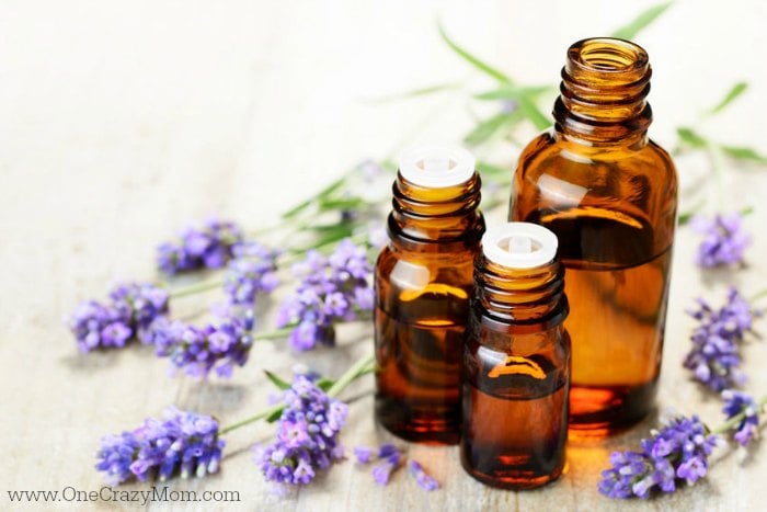 Life is so crazy and it can be stressful. Find the best essential oils for relaxation. 6 essential oils that help relax you and provide calming. Try it today! Life is so crazy and it can be stressful. Find the best essential oils for relaxation. 6 essential oils that help relax you and provide calming. Try it today!