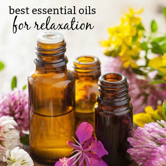 Life is so crazy and it can be stressful. Find the best essential oils for relaxation. 6 essential oils that help relax you and provide calming. Try it today! Life is so crazy and it can be stressful. Find the best essential oils for relaxation. 6 essential oils that help relax you and provide calming. Try it today!