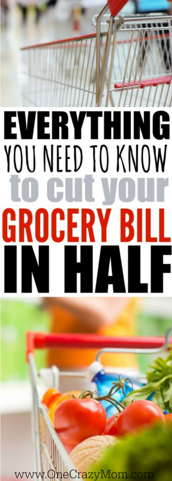Learn How to save money on groceries by menu planning! These tips will help you save money on groceries by menu planning and using a meal planner. Once you know how to save money on food by meal planning, it is so easy! Learn How to save money on groceries by menu planning! These tips will help you save money on groceries by menu planning and using a meal planner. Once you know how to save money on food by meal planning, it is so easy!