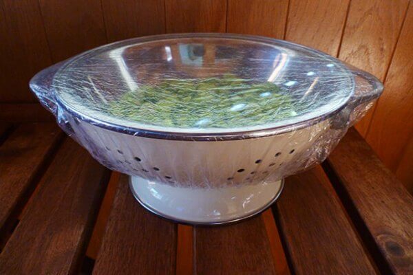 You will love these Dollar Store Kitchen Organization ideas! 20 Kitchen Organization hacks to get your kitchen in order for just a $1! You can't beat that! Shower cap on colander.