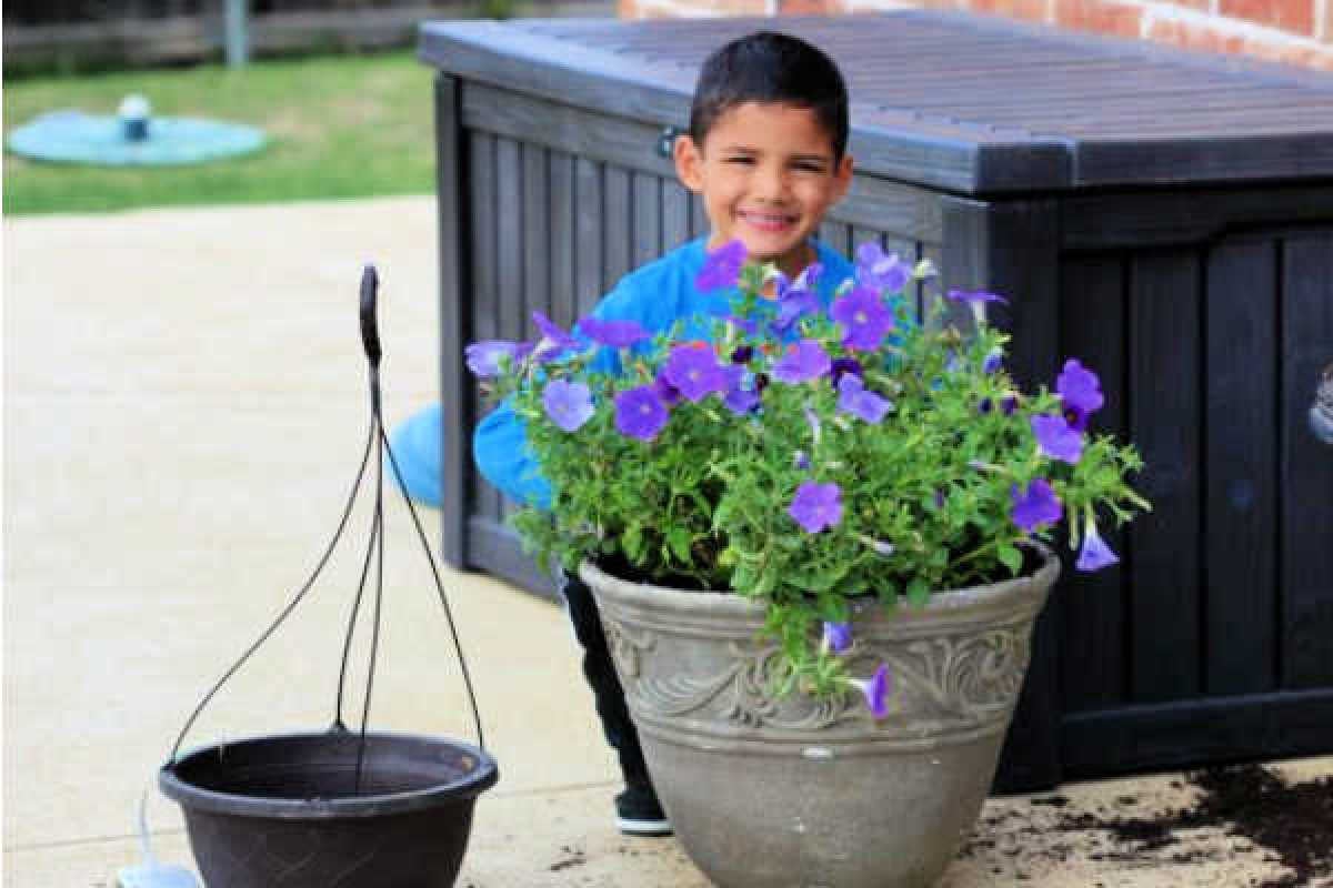 Learn how to save on flowers with just a few easy tips. Your yard will look gorgeous this Spring and Summer.Try these simple and frugal flower pot ideas.