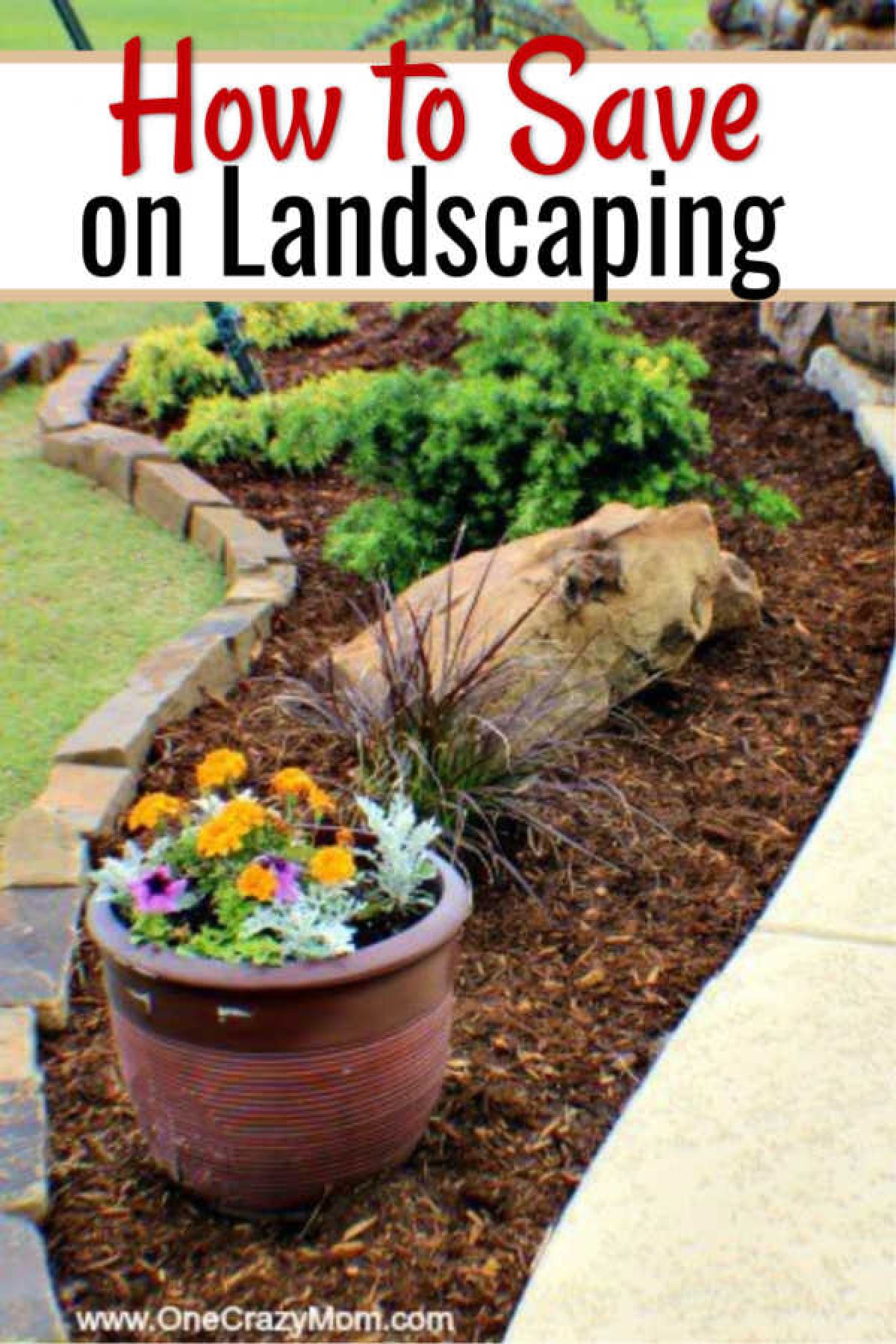 Use these money saving landscaping tips to save big on landscaping. 7 Money saving landscaping tips you will love. Learn how to save money on landscaping. Save thousands of dollars with these money saving tips for landscaping your yard!