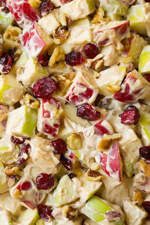 Get ready to enjoy over 20 Summer Fruit Salad Recipes. Beat the heat with one of these cool and refreshing fruit salad dessert recipes. Get ready to enjoy over 20 Summer Fruit Salad Recipes. Beat the heat with one of these cool and refreshing fruit salad dessert recipes.