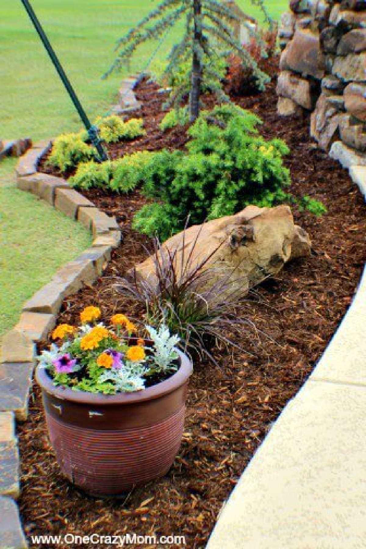 Use these money saving landscaping tips to save big on landscaping. 7 Money saving landscaping tips you will love. Learn how to save money on landscaping. Save thousands of dollars with these money saving tips for landscaping your yard! Use these money saving landscaping tips to save big on landscaping. 7 Money saving landscaping tips you will love. Learn how to save money on landscaping. Save thousands of dollars with these money saving tips for landscaping your yard!
