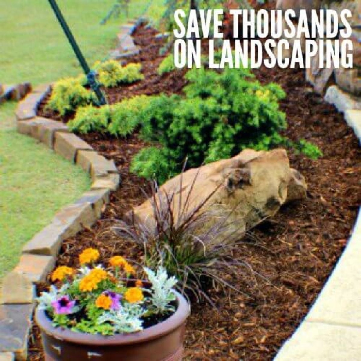 Use these money saving landscaping tips to save big on landscaping. 7 Money saving landscaping tips you will love. Learn how to save money on landscaping. Save thousands of dollars with these money saving tips for landscaping your yard! Use these money saving landscaping tips to save big on landscaping. 7 Money saving landscaping tips you will love. Learn how to save money on landscaping. Save thousands of dollars with these money saving tips for landscaping your yard!