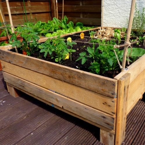 Find over 20 DIY Wood Pallet Ideas for your home that are easy to make and budget friendly. These unique pallet ideas are functional and so pretty. Find over 20 DIY Wood Pallet Ideas for your home that are easy to make and budget friendly. These unique pallet ideas are functional and so pretty.