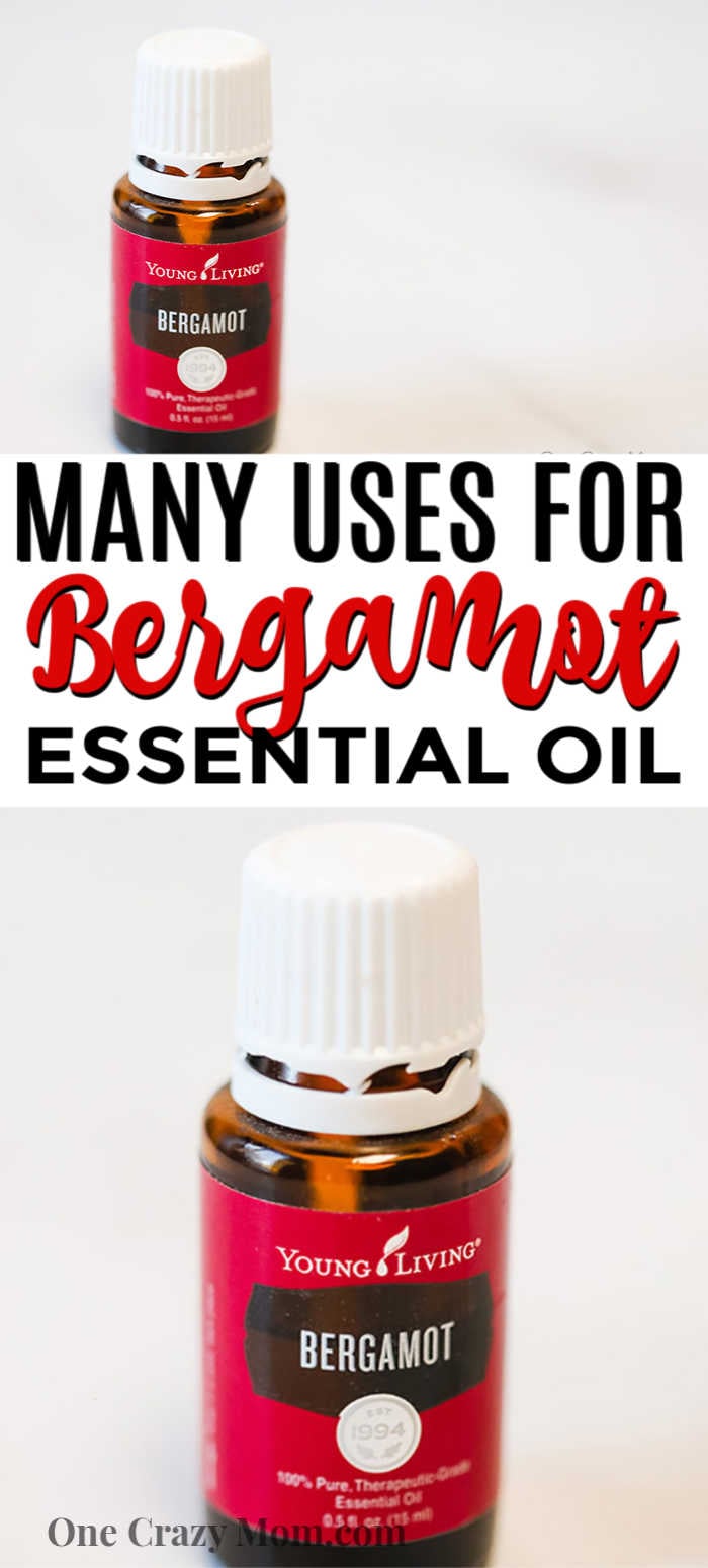 Learn some of the best Bergamot Essential Oil Uses. We have the top uses that help promote well being while being calming and uplifting. Learn some of the best Bergamot Essential Oil Uses. We have the top uses that help promote well being while being calming and uplifting.