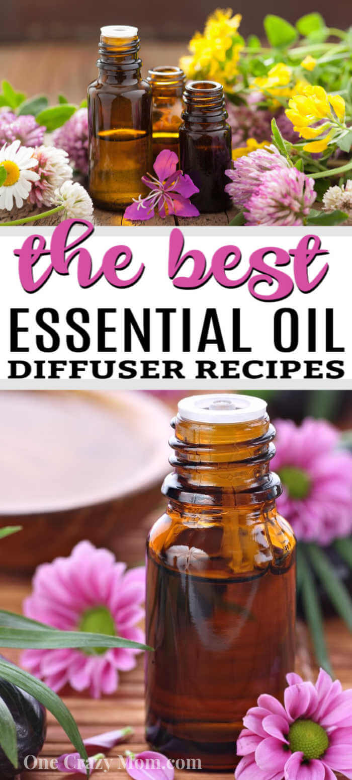 We have the best Essential Oil Diffuser Recipes that you will love. Learn how to use essential oils for allergies, cleaning and much more with these tips. We have the best Essential Oil Diffuser Recipes that you will love. Learn how to use essential oils for allergies, cleaning and much more with these tips.