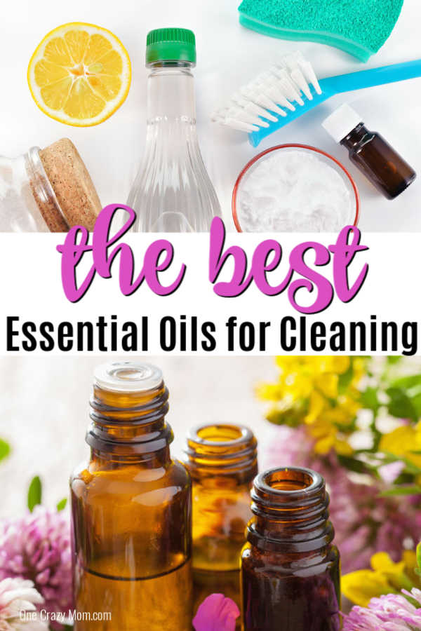 We love to use essential oils for cleaning and try to use all natural products in our home. We have the best essential oils for cleaning and disinfecting. We love to use essential oils for cleaning and try to use all natural products in our home. We have the best essential oils for cleaning and disinfecting.