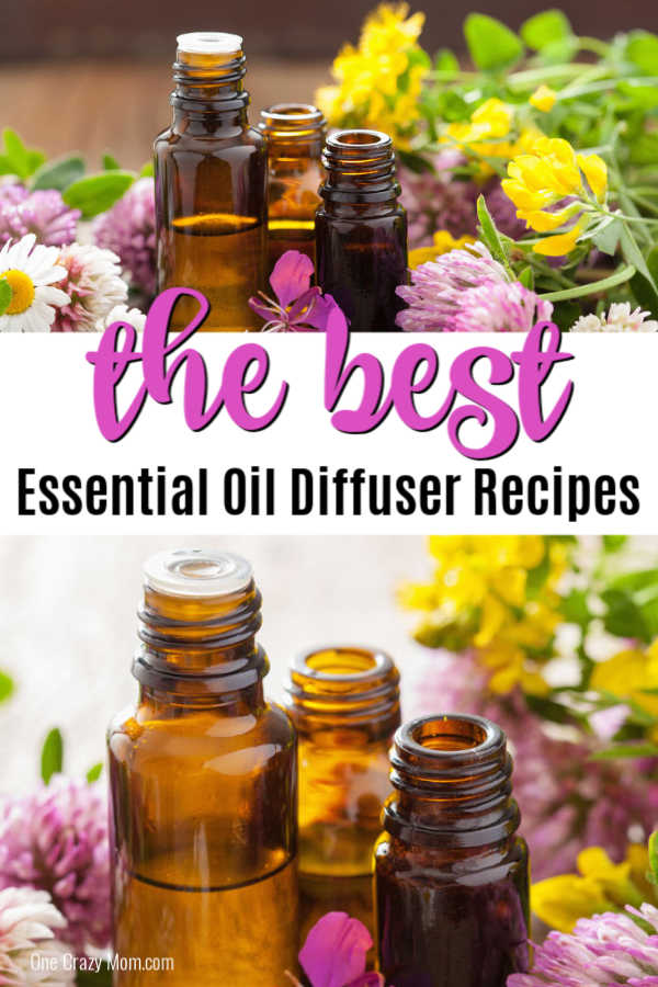 We have the best Essential Oil Diffuser Recipes that you will love. Learn how to use essential oils for allergies, cleaning and much more with these tips. We have the best Essential Oil Diffuser Recipes that you will love. Learn how to use essential oils for allergies, cleaning and much more with these tips.