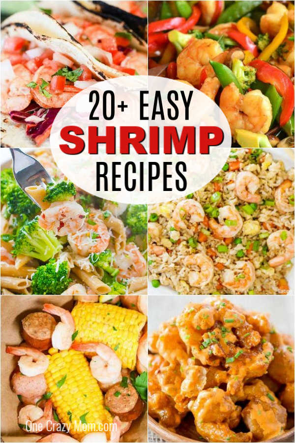 Find 20+ easy shrimp recipes that are super easy to prepare and so tasty. Dinner will be a breeze with these quick and delicious meal ideas for you to try. Find 20+ easy shrimp recipes that are super easy to prepare and so tasty. Dinner will be a breeze with these quick and delicious meal ideas for you to try.