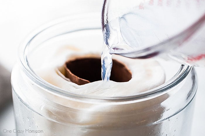 Try making DIY Disinfecting Wipes for a fraction of the price of store bought wipes. These are very simple to make and work great! Try making DIY Disinfecting Wipes for a fraction of the price of store bought wipes. These are very simple to make and work great!