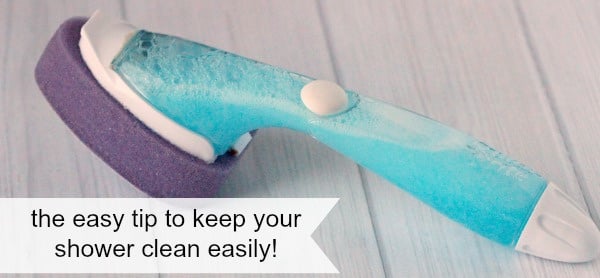 Soap dispensing brush on counter.