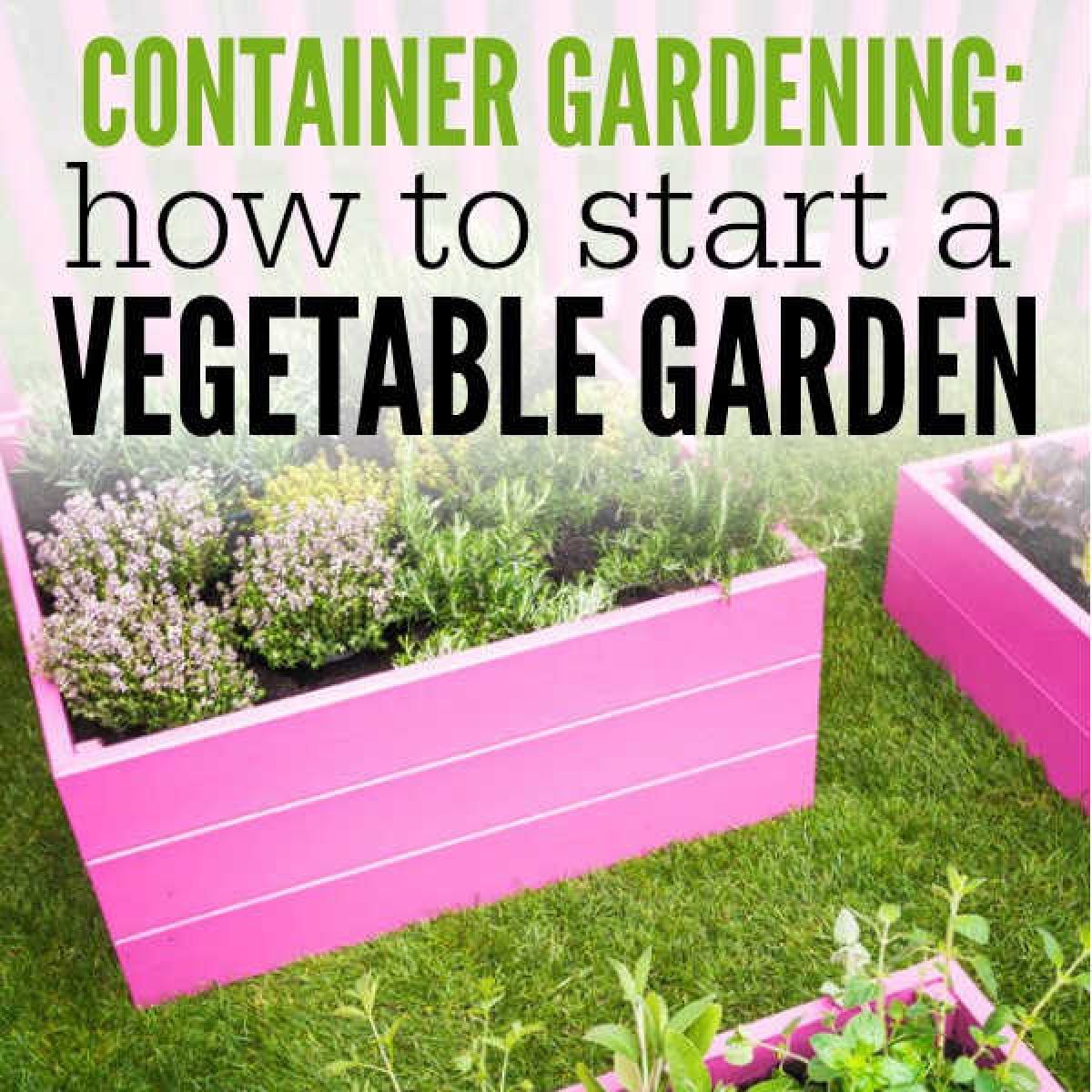 Groups of container gardening.