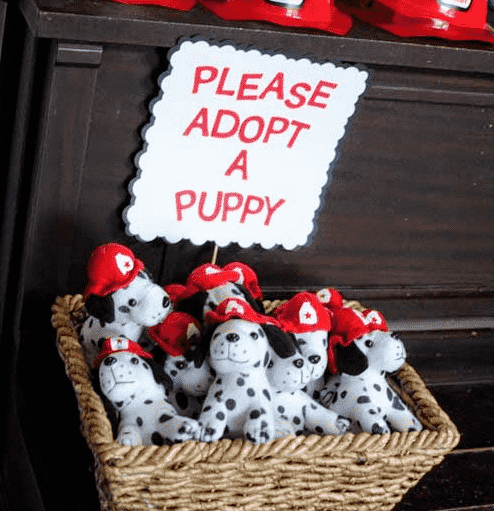 Adopt a puppy basket