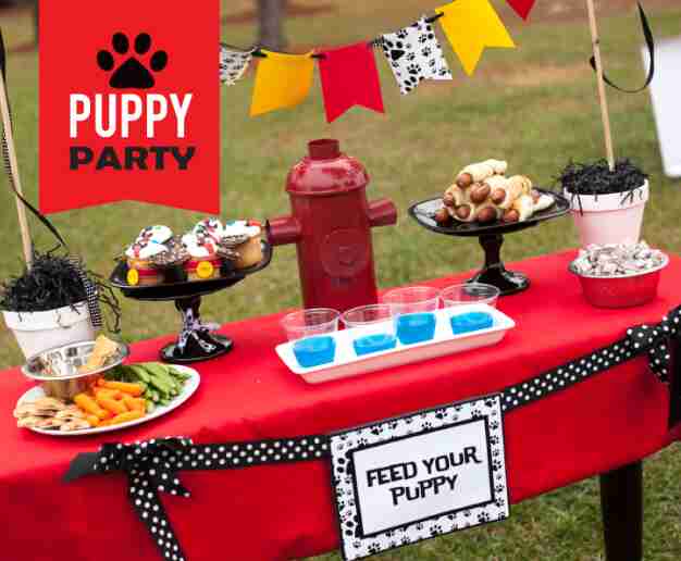 Paw Patrol party ideas.