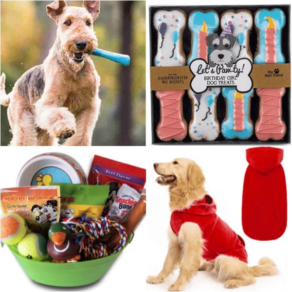 25 Dog Gift Ideas your dog will love. We have rounded up the best gift to make shopping for pups easy this year. Choose from 25 of the best dog gift ideas. Check out the best, affordable dog gift ideas that are great for birthday, for Christmas or for Valentines Day too! #onecrazymom #dogideas #giftideas