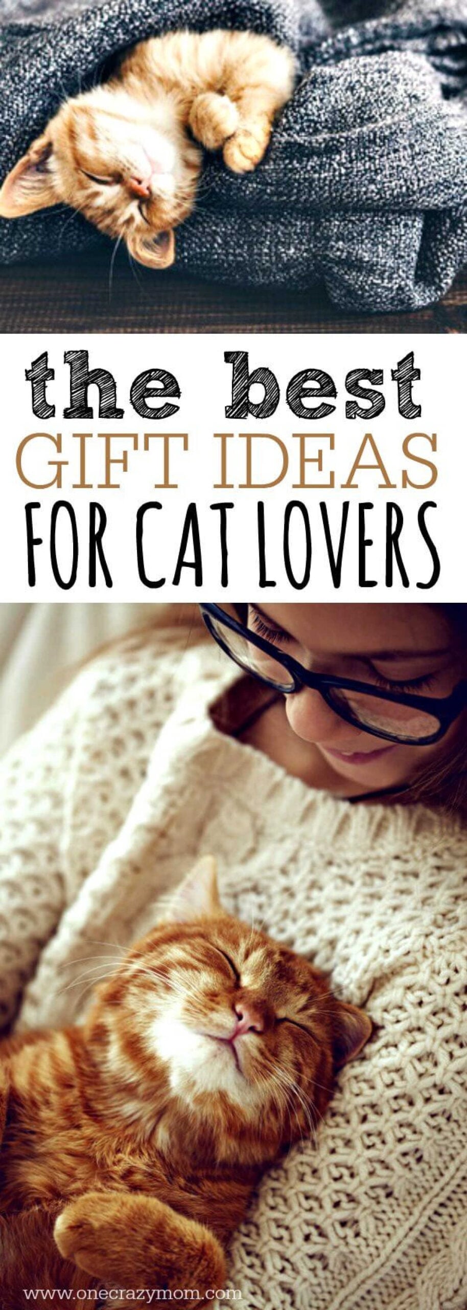 We have all of the best gifts for cat lovers. 20 unique gift ideas for cat lovers they will love! Find the best presents for cat lovers here!