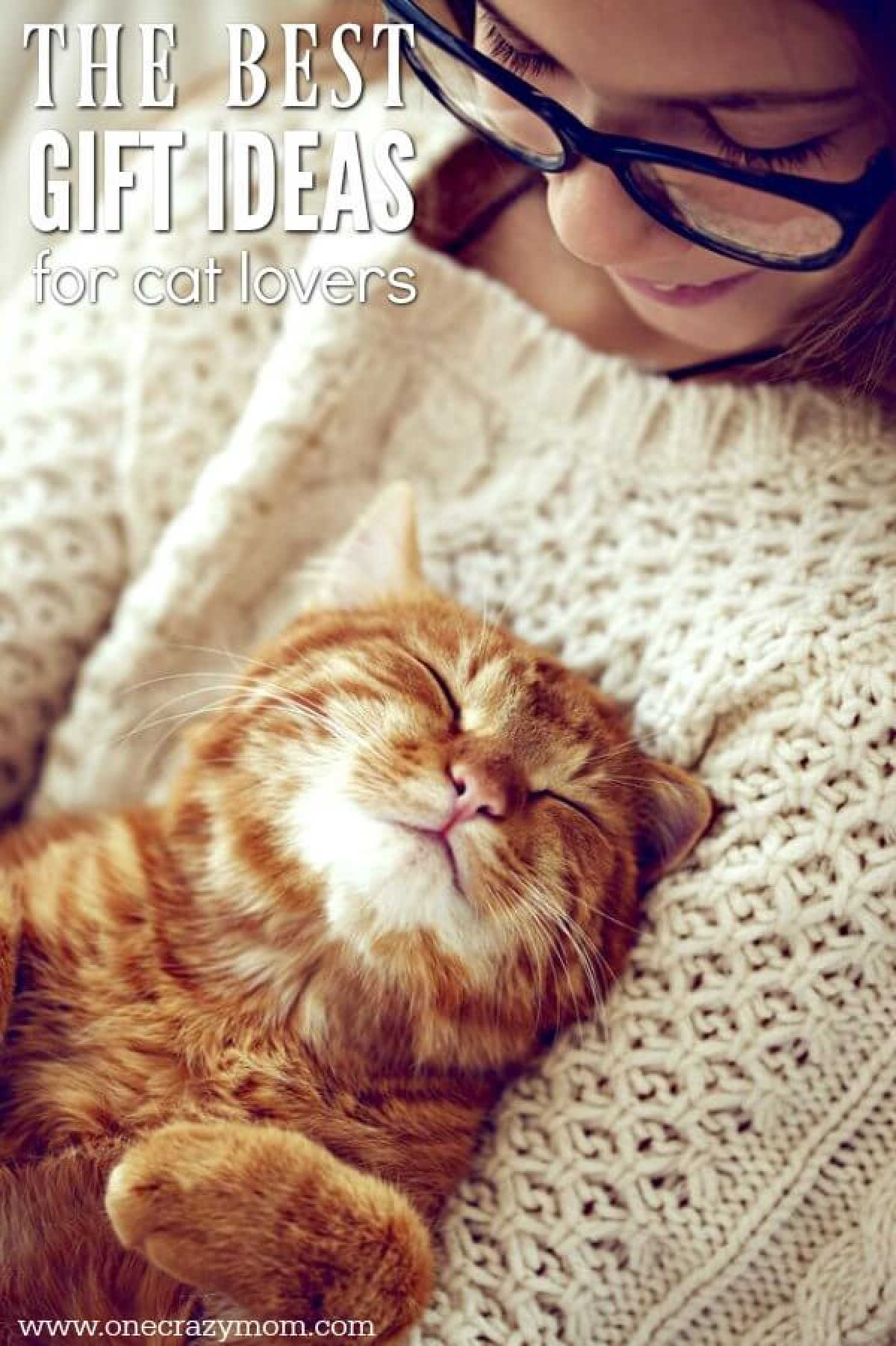 We have all of the best gifts for cat lovers. 20 unique gift ideas for cat lovers they will love! Find the best presents for cat lovers here!