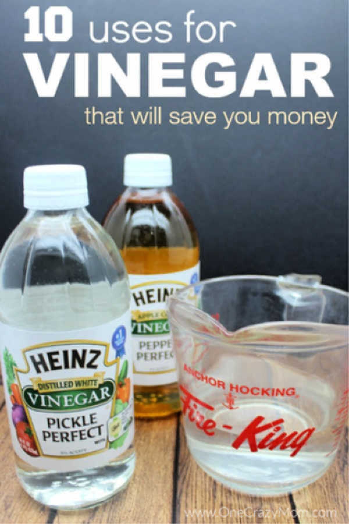 Here are some clever vinegar uses that will actually save you money. These uses for vinegar will cost less than buying expensive specialty products. Bottles of vinegar next to measuring cup.