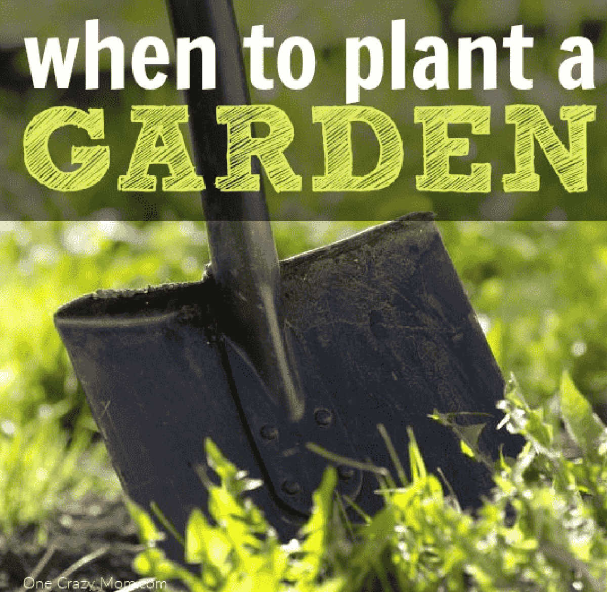 Shovel in the ground.