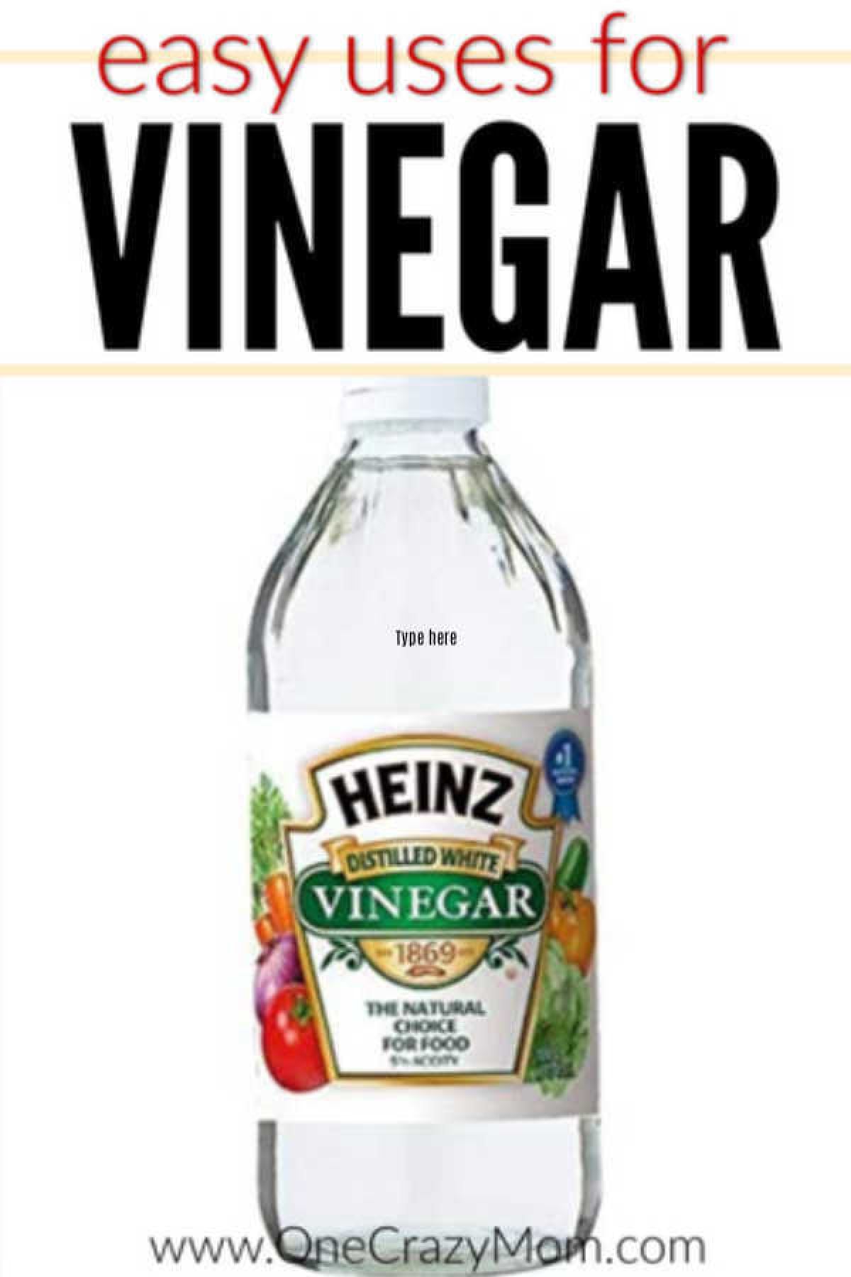 Here are some clever vinegar uses that will actually save you money. These uses for vinegar will cost less than buying expensive specialty products. Bottle of white vinegar.