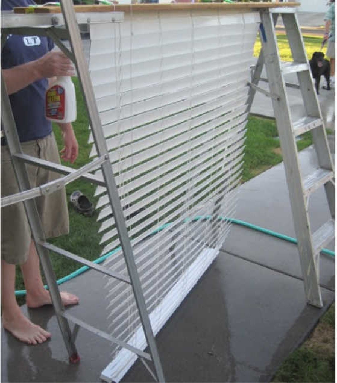 Do you need to clean your blinds but keep putting the task off? Learn how to clean blinds quickly and easily with these easy tips. Window with blinds open.