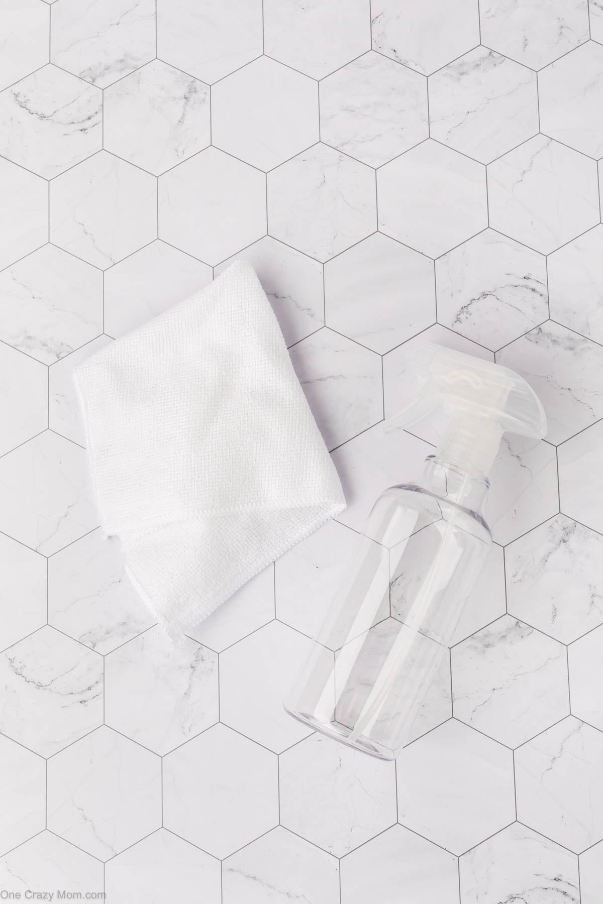 Spray bottle and cloth for cleaning.